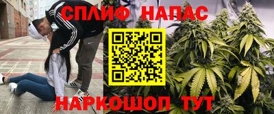 spice Пенза