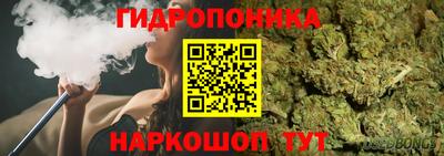 прущие грибы Партизанск