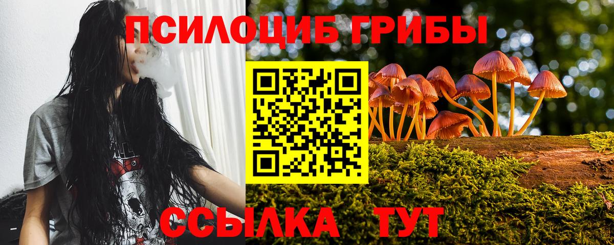 Галлюциногенные грибы Psilocybe  Галлюциногенные грибы прущие грибы  Вход с VPN  Рославль 
